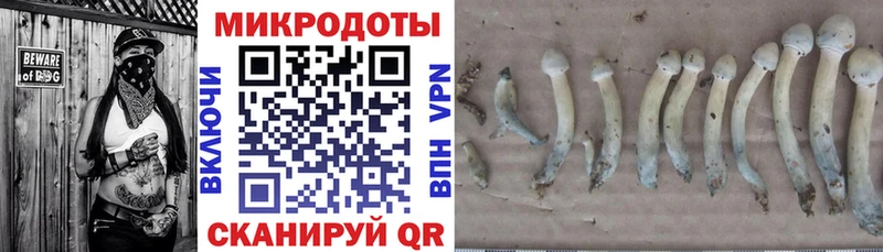 Купить  Киреевск  Галлюциногенные грибы прущие грибы 